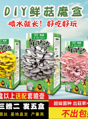 蘑菇种植包可食用蘑菇盒子菌包菌种子家种diy儿童种植蘑菇小盆栽