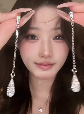精致长款镶钻流苏水滴耳钉耳环女轻奢高级感气质设计感配饰潮