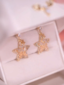 闪亮五角星星耳钉耳环女满钻轻奢网红百搭耳饰2022新款 银针防过敏