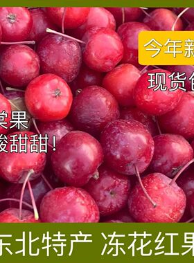 东北冻海棠果花红果水果酸甜凉爽新鲜冷冻小苹果冷冻花红果批发
