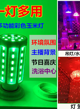 LED彩色灯泡节能灯植物补光红色喜庆蓝色绿色灯笼节日装饰效果灯