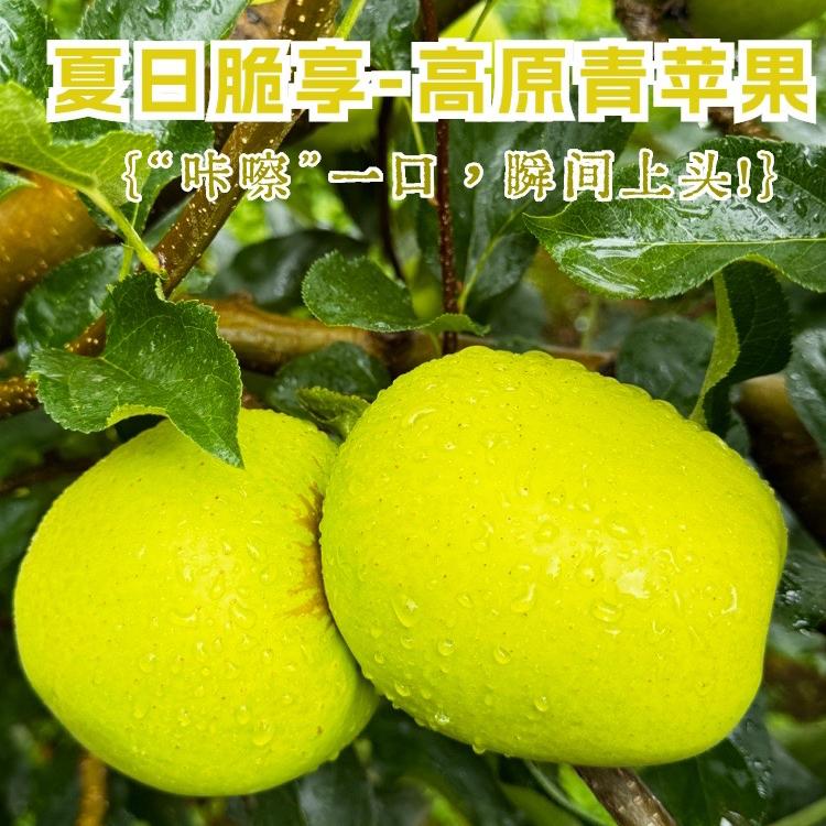 正宗大凉山盐源青苹果酸酸甜甜5斤小时候的味道新鲜水果香甜多汁