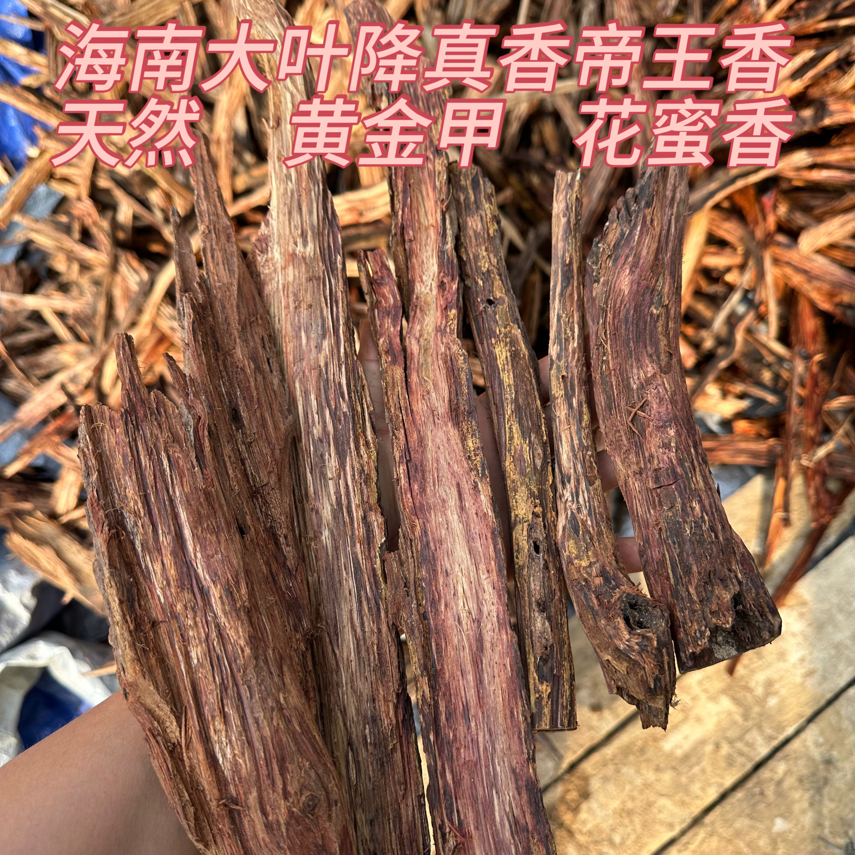 海南大叶降真香小古怪泡酒料紫