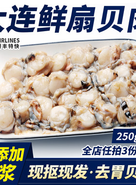 大连扇贝柱扇贝丁新鲜海鲜