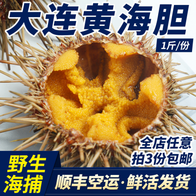 大连海胆鲜活刺身1斤4-6只