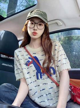条纹冰丝短袖t恤女夏季2026新款设计感小马刺绣潮牌针织衫上衣女
