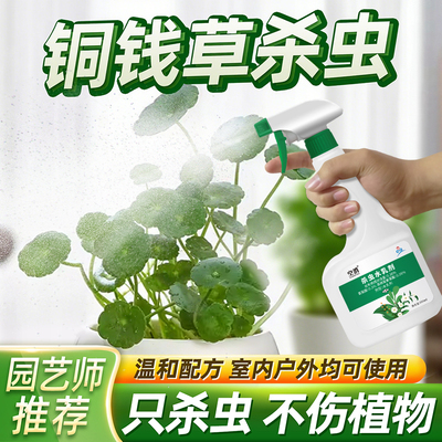 铜钱草杀虫剂专用药除虫金钱灭草虫去虫药驱虫长虫生虫子防虫打虫