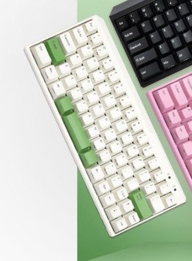 现货销售斐尔可 FILCO MINILA67键机械键盘黑色绝地求生吃鸡键盘