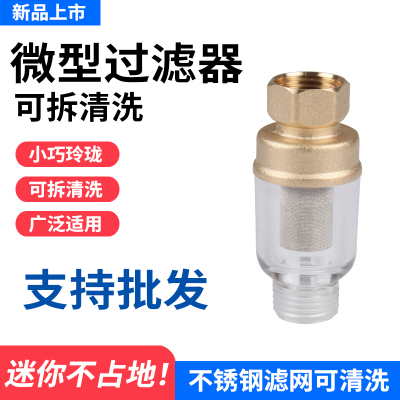 电热水器前置过滤器家用净水器