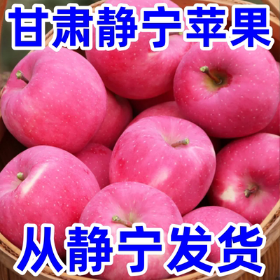产地直发包邮新鲜甘肃静宁苹果