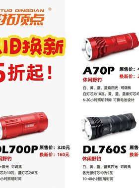 开拓顶点夜钓灯钓鱼灯白蓝双光源