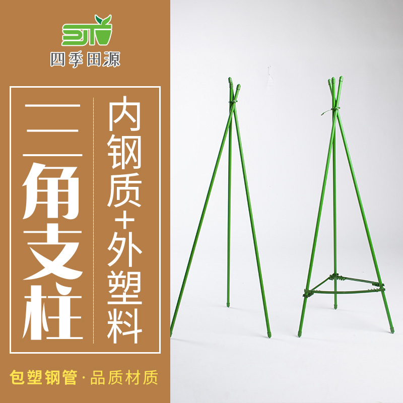 园艺包塑钢管三角支柱盆栽固定藤蔓爬藤架花盆支架绿植花卉番茄架