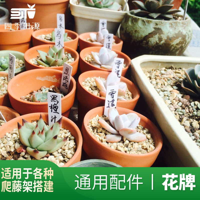 绿植多肉植物花牌盆栽标签园艺标签牌花盆花卉标签防水塑料插地牌图片