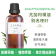 桉叶油蓝桉叶油尤加利精油单方100ML面部护肤家居香薰香氛身按摩
