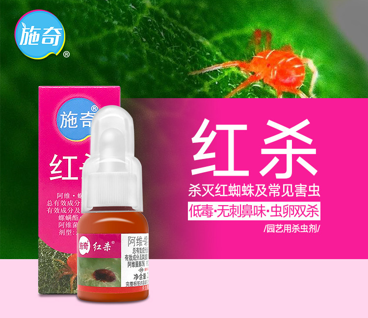 红蜘蛛专用药杀虫剂阿维菌素螺螨酯国光施奇红杀花卉月季喷雾药水