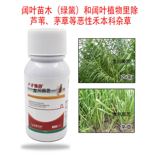 芦苇茅草除草剂 润德苑林卢矛锄静 阔叶苗木绿篱麦冬除禾本科杂草