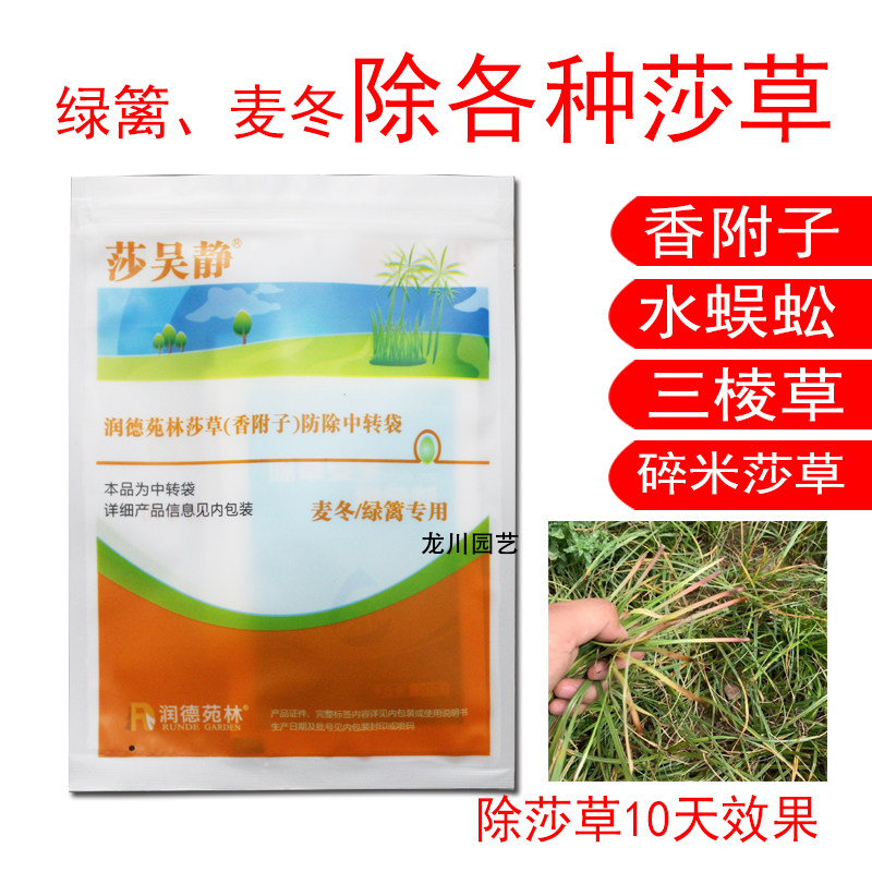 润德莎吴静麦冬绿篱苗地除莎草香附子水蜈蚣碎米莎草三棱草飘浮草