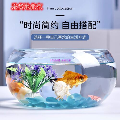 小型迷你玻璃金鱼缸扁形花边