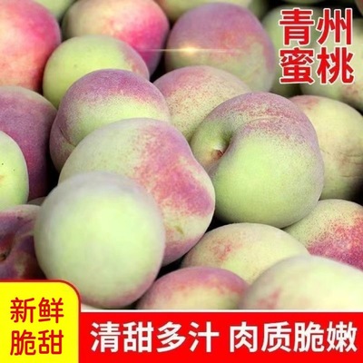 青州蜜桃毛桃脆桃硬桃新鲜桃子毛桃甜桃青桃脆甜脆桃硬桃应季水果