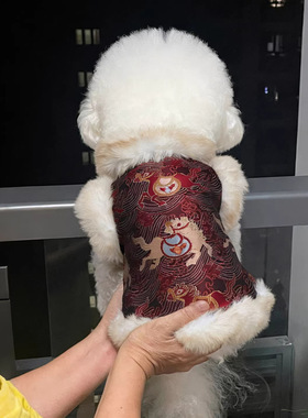 小狗狗衣服冬装比熊小型犬泰迪博美红色喜庆新年宠物猫咪中式唐装