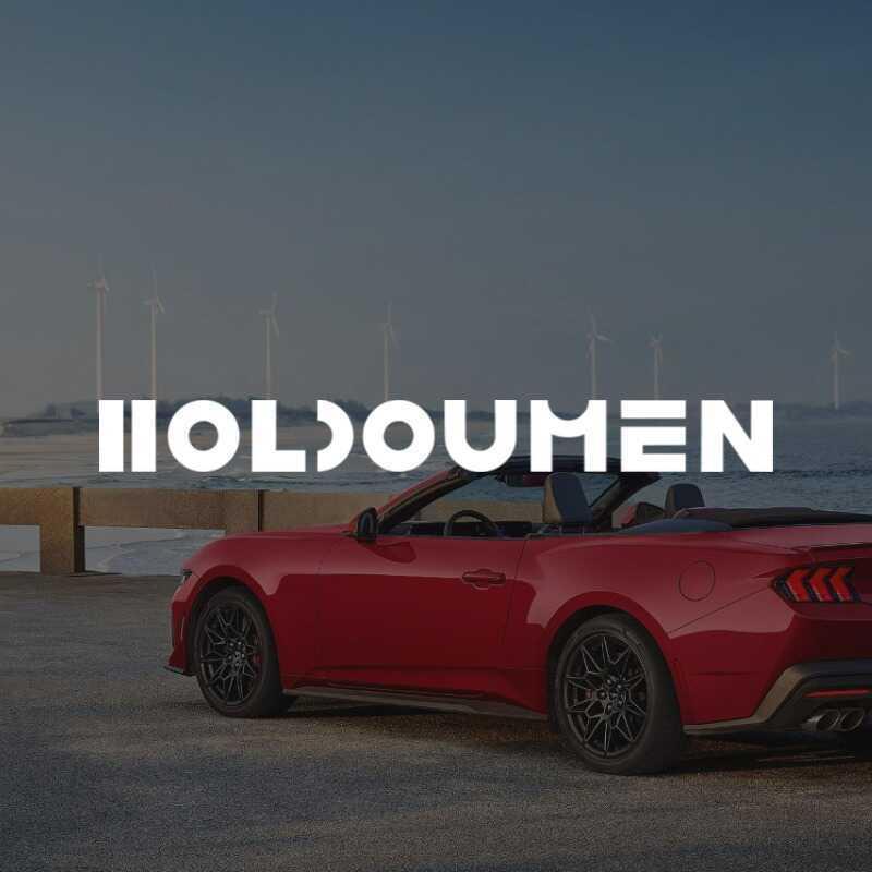 后陡门HOLDOUMEN汽车车贴