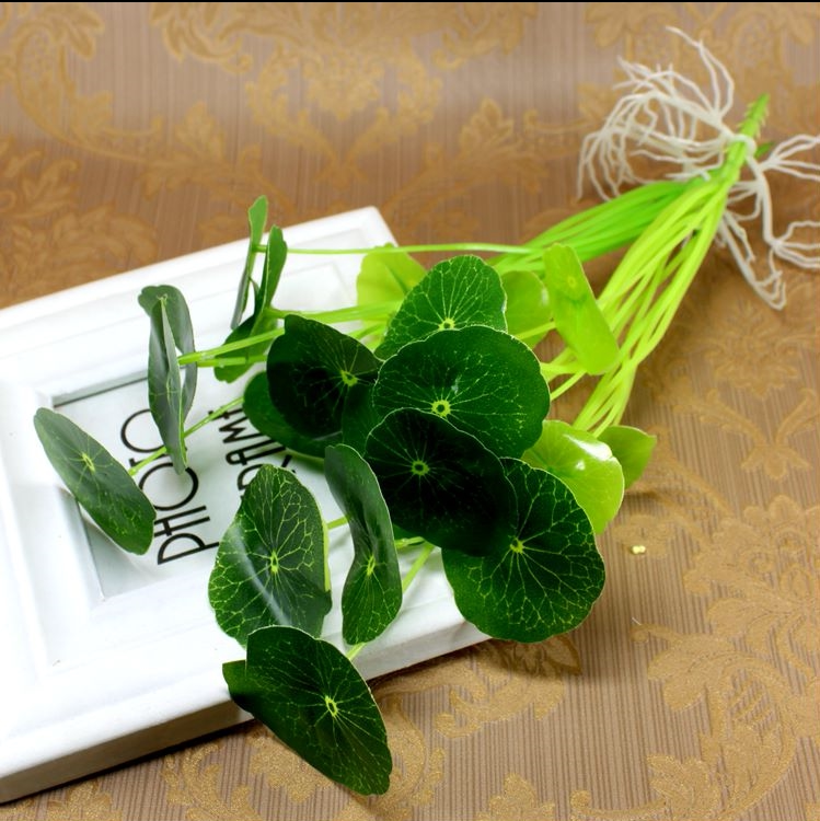 拍照背景场景家居装饰摆设 绿色植物带须小荷叶 拍摄道具拍图 1束