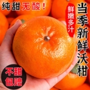 纯甜沃柑一级新鲜斤高原当季 水果整箱特级橘子橙子广西武鸣沃柑
