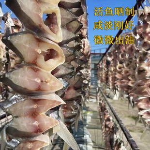 海捕金鲳鱼干湛江特产淡晒鲜味金仓银仓海鱼干渔家自晒咸鱼真空