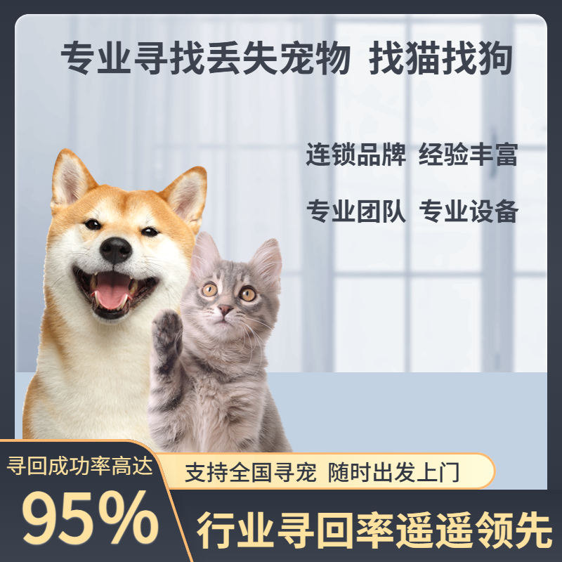 寻宠服务专业找猫找狗上门寻找