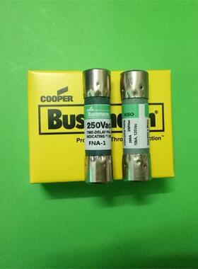 FNA Time Delay延时熔断器保险丝10X38MM BUSSMANN 250V 全新