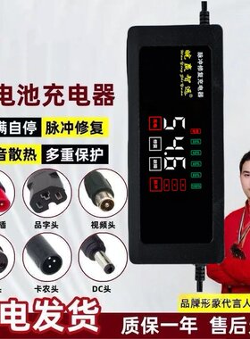 台铃电动车充电器48V54.6v快充
