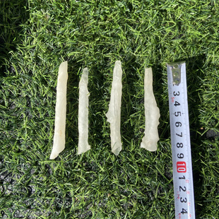 钟乳石原石中药材正品天然石钟乳 鹅管石 滴管石中芦石滴乳石精品