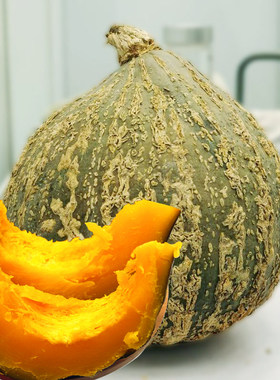 香甜甘面粉糯四季春季播蔬菜种籽