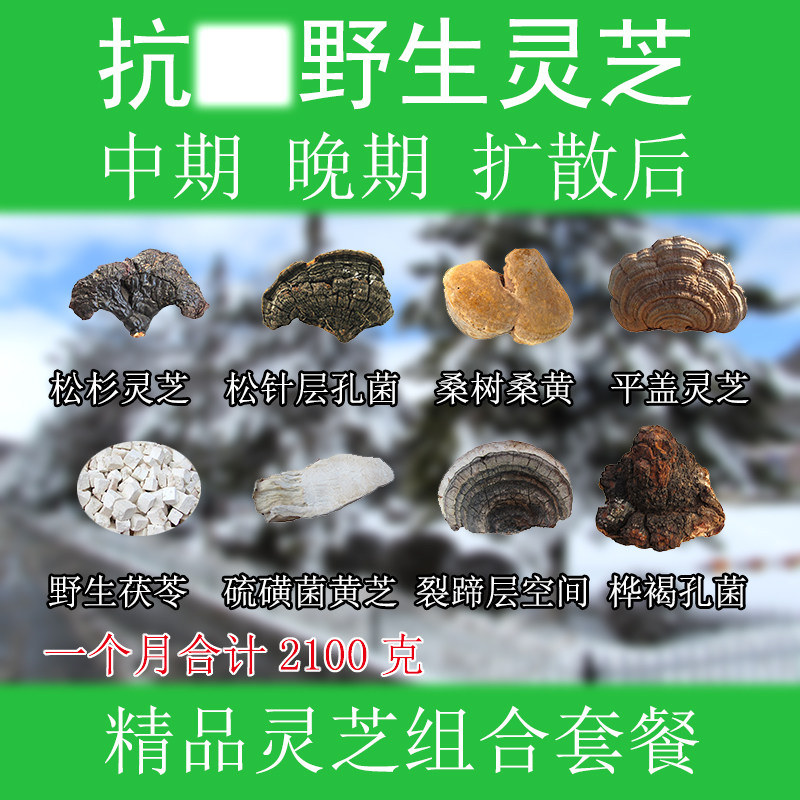 野生灵芝组合套餐 平盖桦褐松针桑树桑黄赤芝云芝黄芝茯苓 晚期