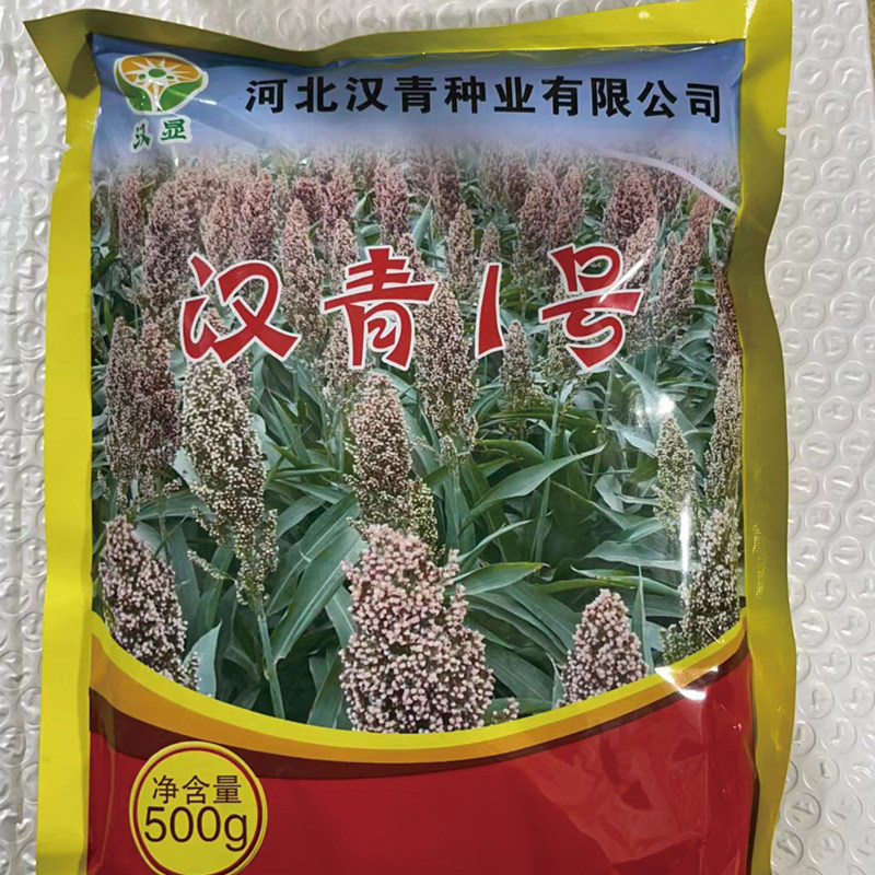 汉青1号2号矮杆高粱种子 大穗糯香机械收割抗倒伏株高1.4杂粮种孑
