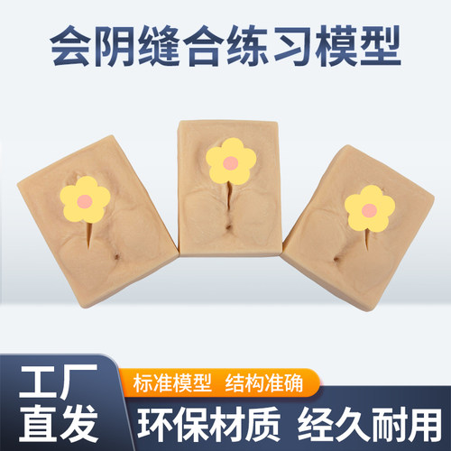 黄和模型女性会阴缝合妇科教具