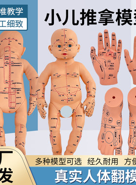 黄和婴儿模型针灸娃娃教学