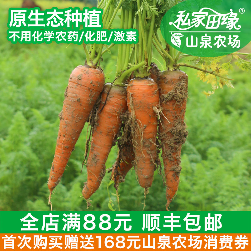 私家田缘 胡萝卜 红萝卜 有机蔬菜新鲜 自有山泉农场 包邮 500g