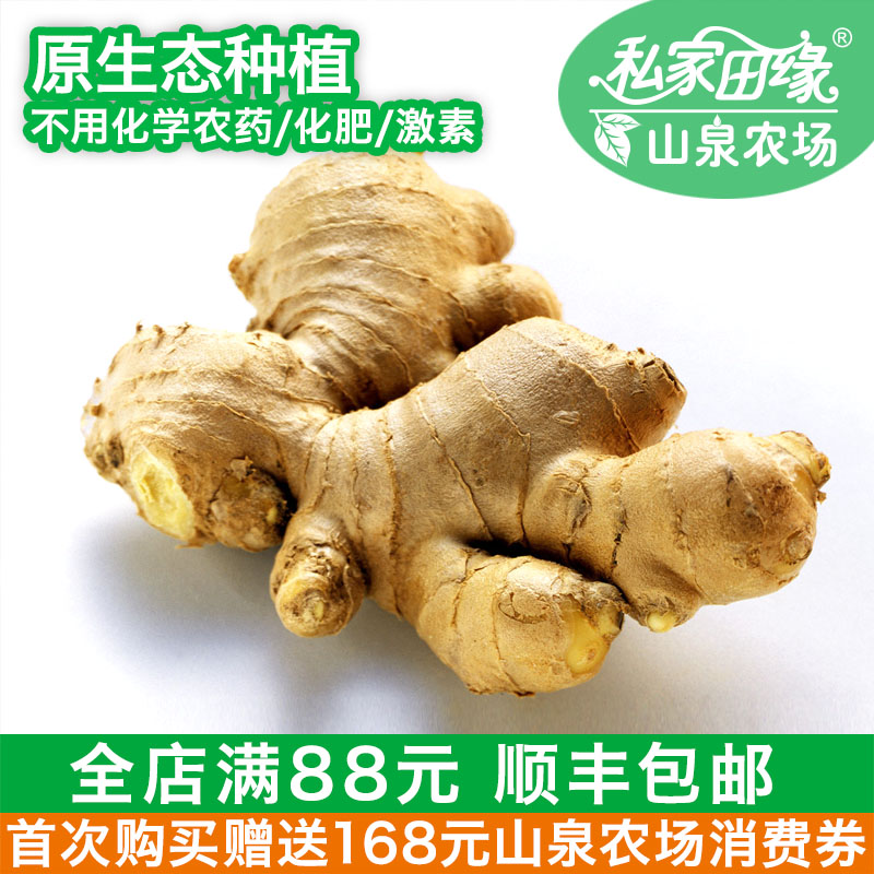 私家田缘 生姜 鲜姜 有机蔬菜新鲜自有山泉农场 250g