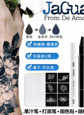 果汁笔海娜纹身纹身手绘防水