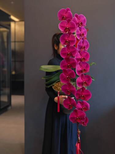 【大辣椒】蝴蝶兰带花剑5个月花期秋冬年销花大花型直径12公分