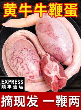 牛鞭宝一套正宗牛蛋三宝大公黄牛鞭整根滋补生鲜牛肉整套顺丰包邮