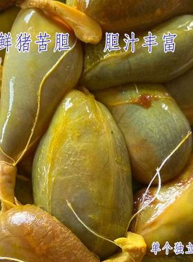 猪胆药用现杀现发新鲜猪苦胆汁胆囊苦胆干猪苦胆冷冻猪苦胆老偏方