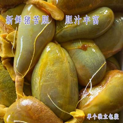 猪胆药用现杀现发新鲜猪苦胆汁胆囊苦胆干猪苦胆冷冻猪苦胆老偏方