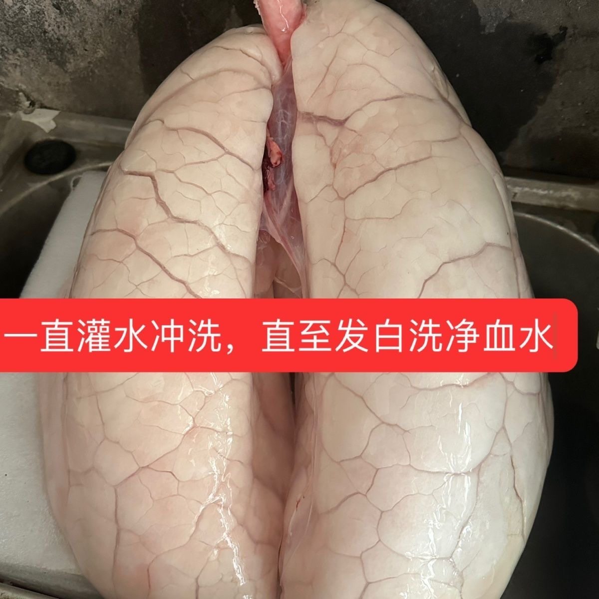 新鲜猪肺已清洗免打理猪肺带管猪全肺清水冲洗猪肺洗白净冷冻发货