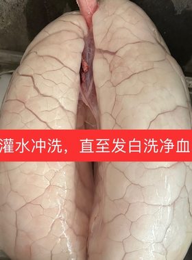 新鲜猪肺已清洗免打理猪肺带管猪全肺清水冲洗猪肺洗白净冷冻发货