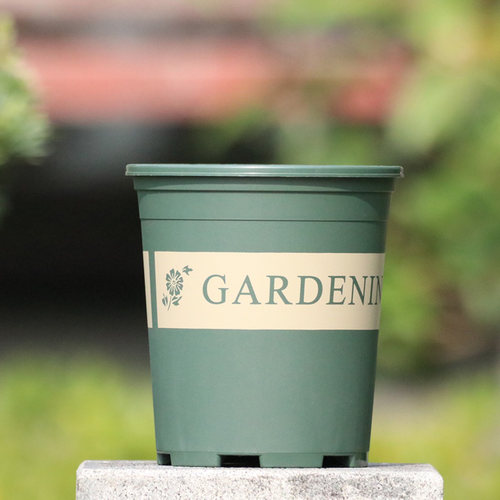 家用绿植盆栽桌面花盆多肉植物圆形种菜盘草莓盆托盘月季盆加仑盆 - 封面