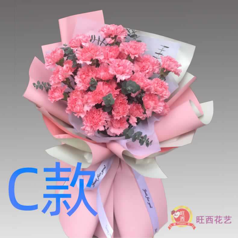 生日康乃馨江苏苏州订花店送花常熟市张家港市昆山市同城鲜花快递