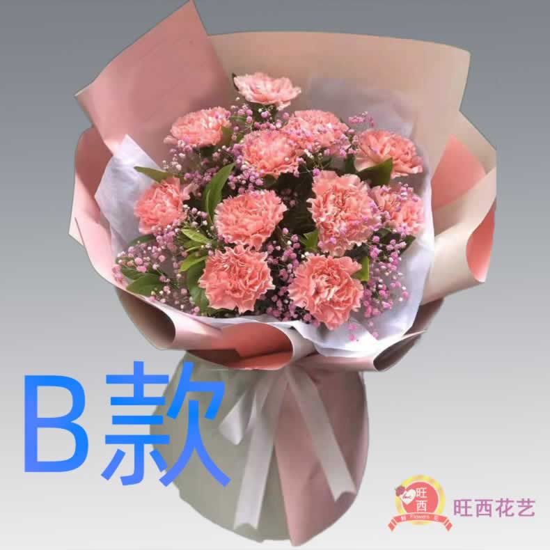 生日纪念康乃馨云南红河花店送花石屏县弥勒县泸西县同城鲜花快递