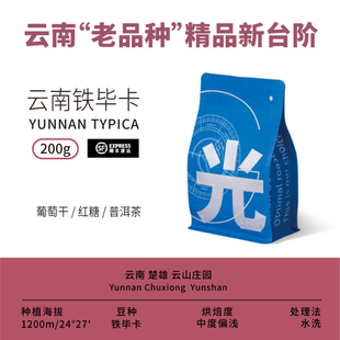 光宗豆号 云南铁毕卡 手冲咖啡豆咖啡粉 中浅烘焙可做挂耳可磨粉